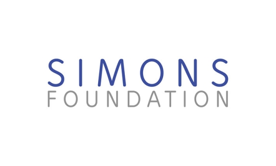 simons-foundations
